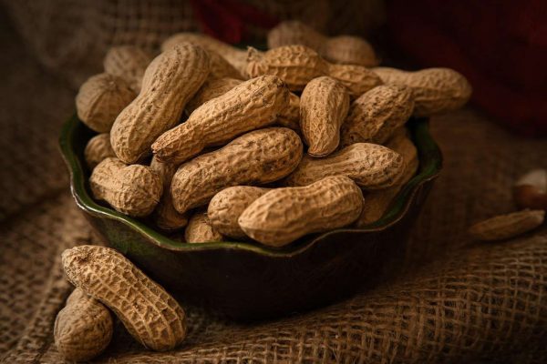 Kacang-Kacangan sebagai Sumber Protein Nabati yang Menyehatkan Jantung