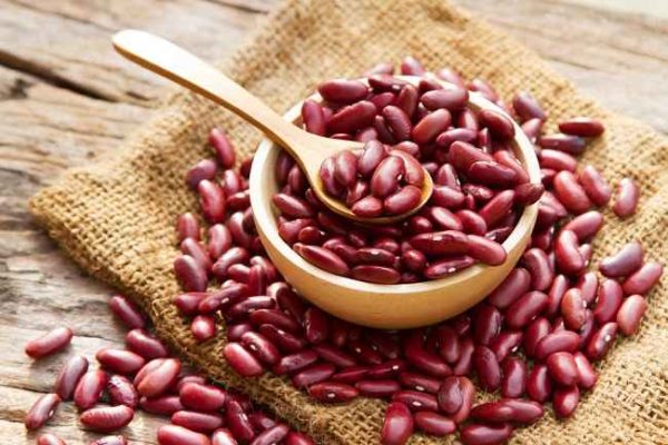 Kacang Merah, Sumber Antioksidan yang Kaya Manfaat